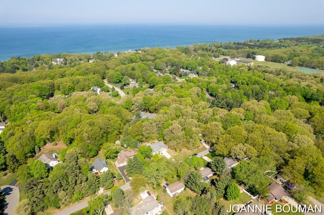 94 Cheyenne Ave, Holland, MI 49424 - drone / aerial view of a forest and a nearby body of water