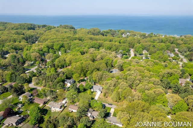 94 Cheyenne Ave, Holland, MI 49424 - aerial view of a forest and a large body of water