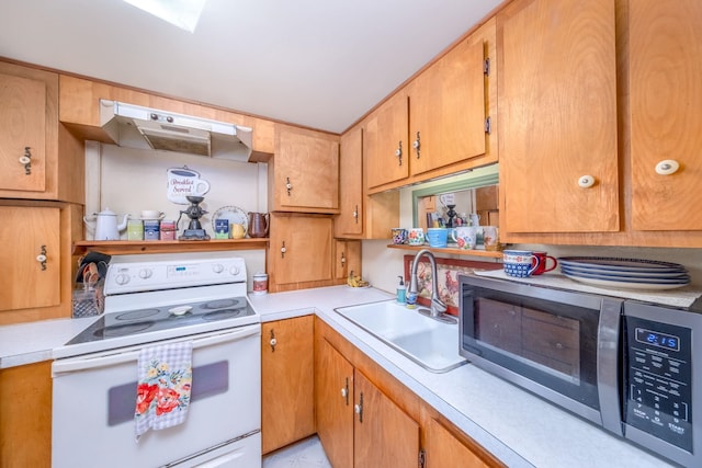 16545 Lonesome Trl, Leroy, MI 49655 - kitchen with electric range, stainless steel microwave, a sink, under cabinet range hood, and light countertops