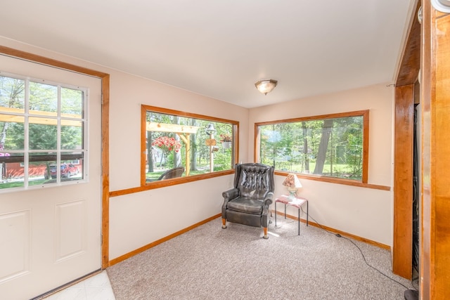 16545 Lonesome Trl, Leroy, MI 49655 - sitting room with baseboards and carpet floors