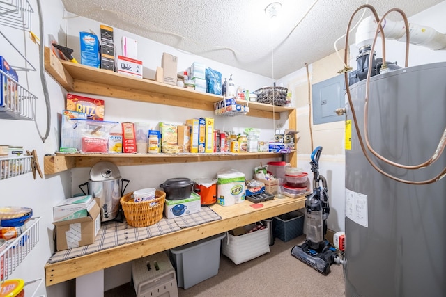 16545 Lonesome Trl, Leroy, MI 49655 - view of pantry