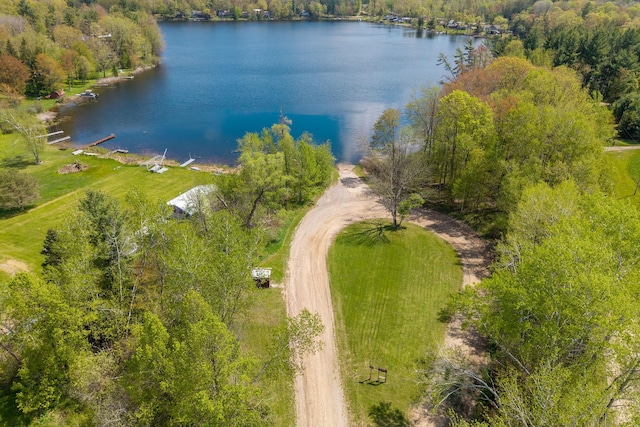 16545 Lonesome Trl, Leroy, MI 49655 - aerial view of a nearby body of water and a forest