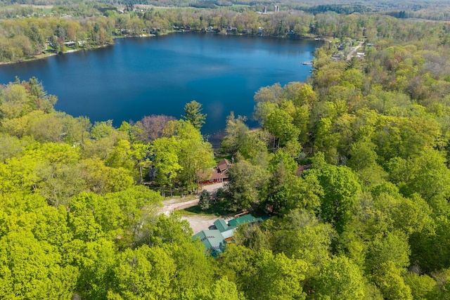 16545 Lonesome Trl, Leroy, MI 49655 - drone / aerial view of a forest and a large body of water