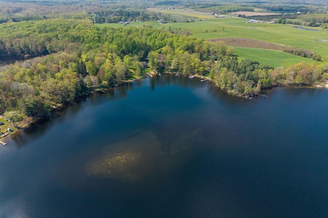 16545 Lonesome Trl, Leroy, MI 49655 - bird's eye view of a nearby body of water and a heavily wooded area