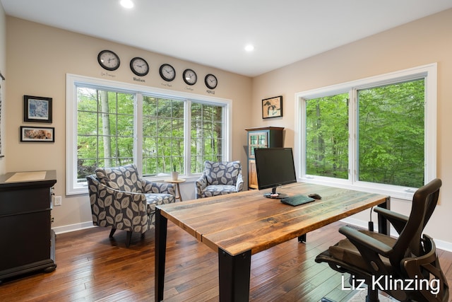966 Timber Winds Dr SW, Grand Rapids, MI 49534 - office space with dark wood-style floors, baseboards, and recessed lighting