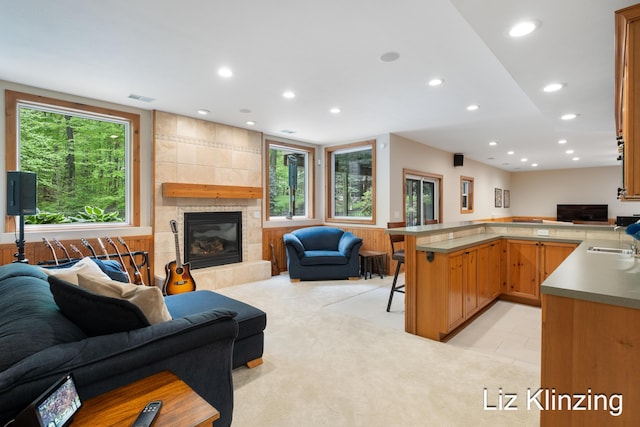 966 Timber Winds Dr SW, Grand Rapids, MI 49534 - living area featuring a fireplace, recessed lighting, and light colored carpet
