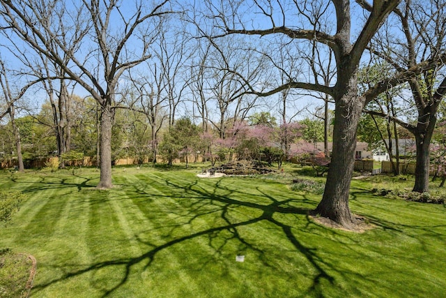 602 N Kalamazoo Ave, Marshall, MI 49068 - view of yard