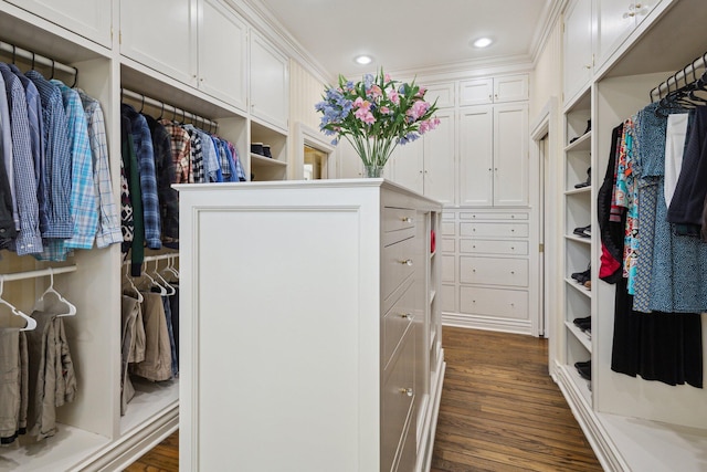 602 N Kalamazoo Ave, Marshall, MI 49068 - spacious closet featuring dark wood-style floors