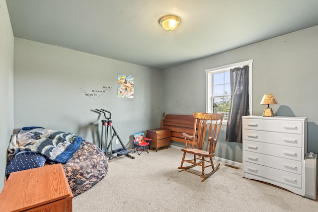 2495 Stitt Rd, Mio, MI 48647 - sitting room featuring carpet floors and baseboards