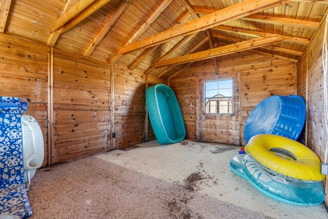 2495 Stitt Rd, Mio, MI 48647 - view of storage area