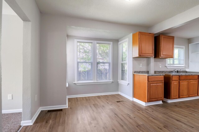 202 Haltiner St, River Rouge, MI 48218 - kitchen with wood finished floors, brown cabinetry, baseboards, and a sink