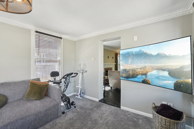 441 Roland Rd, Grosse Pointe Farms, MI 48236 - workout room featuring ornamental molding, carpet floors, a fireplace, and baseboards