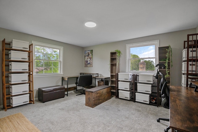 18441 Roseland Blvd, Lathrup Village, MI 48076 - office featuring carpet flooring