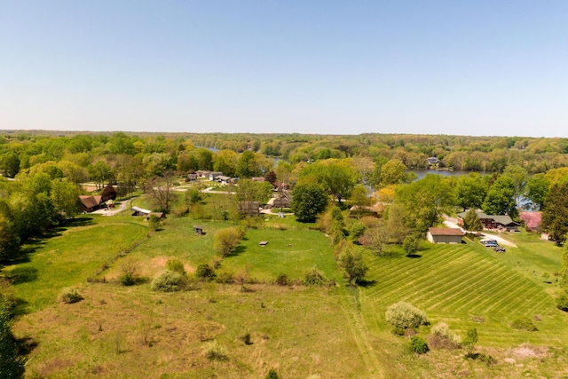 10465 Range Line Rd, Berrien Springs, MI 49103 - view of rural area with a nearby body of water