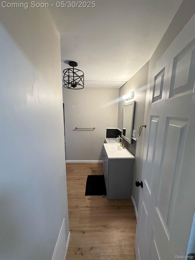 1228 E Jarvis Ave, Hazel Park, MI 48030 - bathroom featuring vanity, wood finished floors, and baseboards