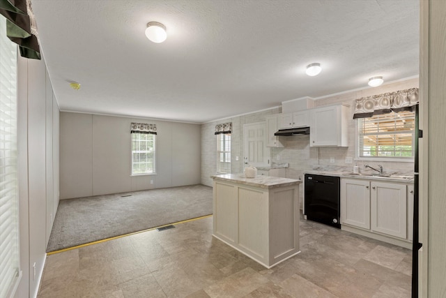 16747 Williamsville St, Vandalia, MI 49095 - kitchen featuring dishwasher, plenty of natural light, under cabinet range hood, light floors, and a textured ceiling
