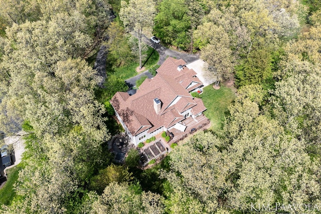 3099 Pickford Dr SE, Ada, MI 49301 - aerial view of property and surrounding area featuring a forest