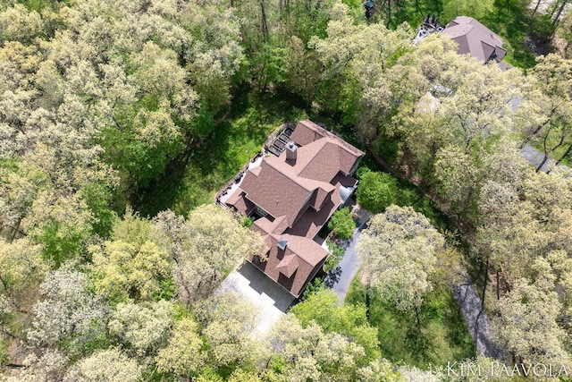 3099 Pickford Dr SE, Ada, MI 49301 - view of subject property featuring a forest