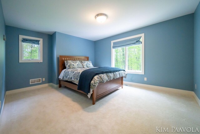 3099 Pickford Dr SE, Ada, MI 49301 - carpeted bedroom with multiple windows and baseboards