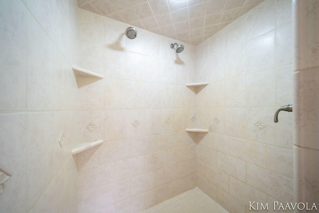 3099 Pickford Dr SE, Ada, MI 49301 - full bathroom with a tile shower