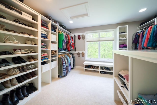 3099 Pickford Dr SE, Ada, MI 49301 - walk in closet with attic access and carpet