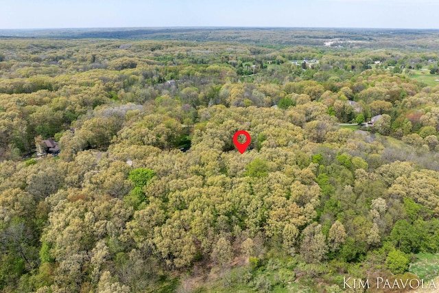 3099 Pickford Dr SE, Ada, MI 49301 - aerial view of property's location with a forest