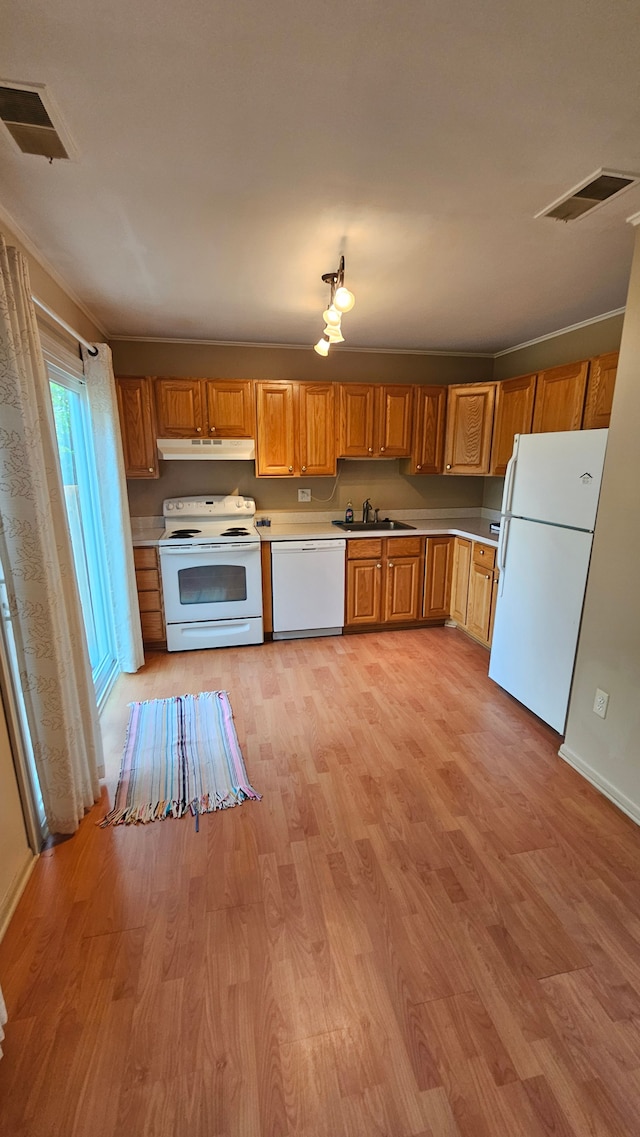 938 Little Hill Ct, Rochester Hills, MI 48307 - kitchen with white appliances, under cabinet range hood, a sink, and light wood-style floors