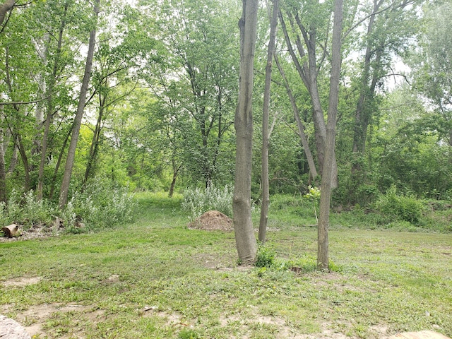 15701 Middlebelt Rd, Romulus, MI 48174 - view of grassy yard with a wooded view