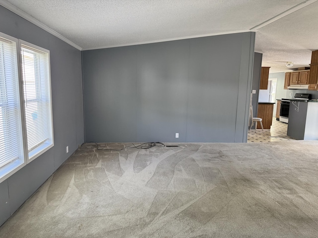 829 Savannah River Dr Unit 82, Adrian, MI 49221 - empty room featuring a textured ceiling, crown molding, and light carpet