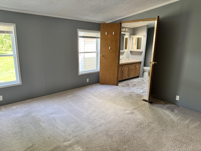 829 Savannah River Dr Unit 82, Adrian, MI 49221 - spare room with healthy amount of natural light, ornamental molding, light carpet, a textured ceiling, and a sink