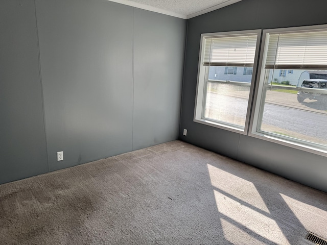 829 Savannah River Dr Unit 82, Adrian, MI 49221 - carpeted spare room with a textured ceiling