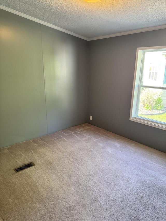 829 Savannah River Dr, Adrian, MI 49221 - carpeted empty room featuring crown molding and a textured ceiling