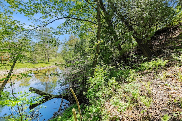 18862 Oxbow Dr, Barryton, MI 49305 - water view