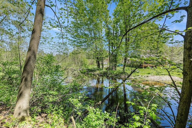 18862 Oxbow Dr, Barryton, MI 49305 - water view