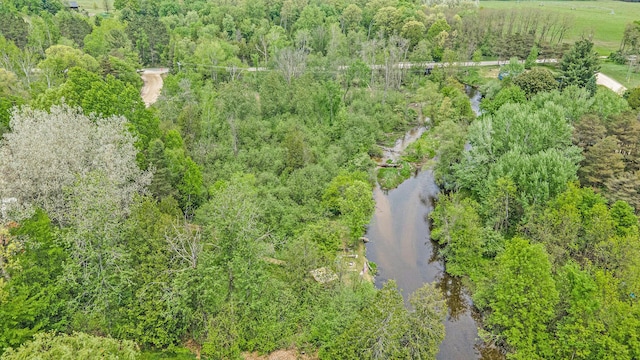 18862 Oxbow Dr, Barryton, MI 49305 - bird's eye view