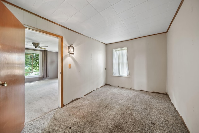10913 E Railroad St, Clayton, MI 49235 - unfurnished room with carpet flooring, ornamental molding, and a ceiling fan