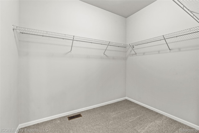 2396 Pondview Ln, Troy, MI 48085 - spacious closet with carpet floors