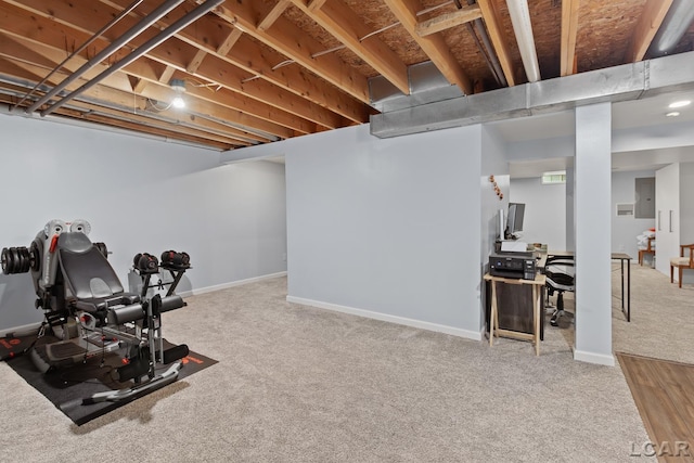 9705 Crescent Ct, Tecumseh, MI 49286 - exercise area with carpet floors, electric panel, and baseboards