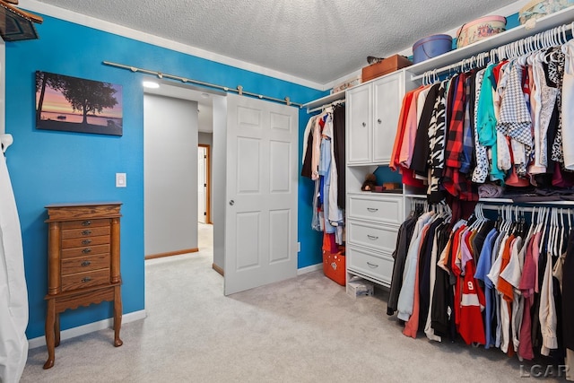9705 Crescent Ct, Tecumseh, MI 49286 - spacious closet with light carpet