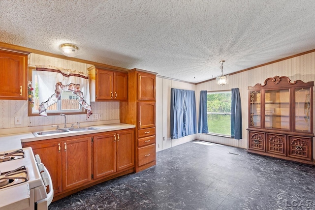 943 Howell Ave, Adrian, MI 49221 - kitchen with crown molding, a sink, white gas range, brown cabinets, and a textured ceiling