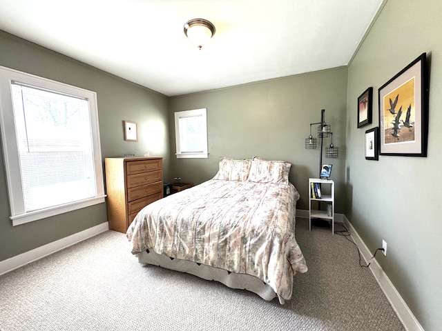 25220 Code Rd, Southfield, MI 48033 - bedroom with multiple windows, carpet flooring, and baseboards