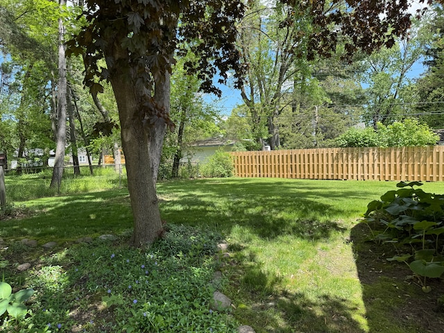 25220 Code Rd, Southfield, MI 48033 - view of yard