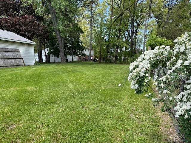 25220 Code Rd, Southfield, MI 48033 - view of yard