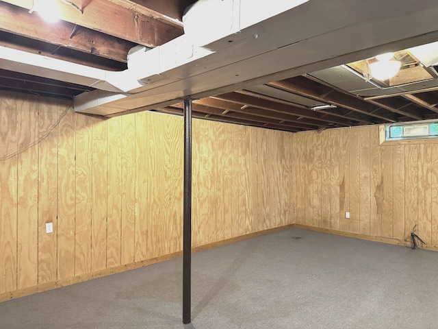 25220 Code Rd, Southfield, MI 48033 - below grade area featuring carpet, wood walls, and baseboards