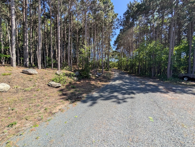 5005 S Brye Rd, Ludington, MI 49431 - view of road
