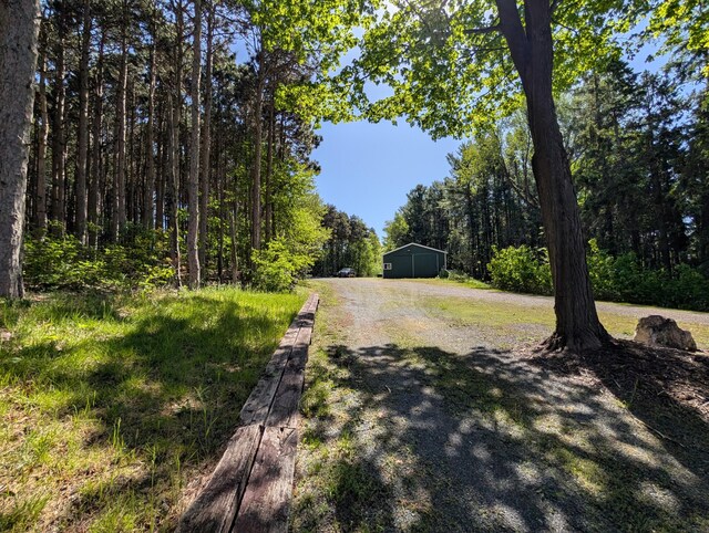 5005 S Brye Rd, Ludington, MI 49431 - view of street featuring a forest view and a pole building