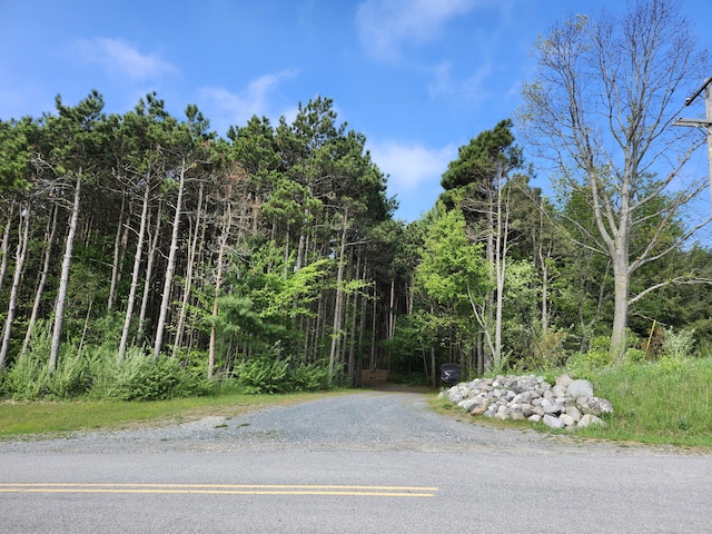 5005 S Brye Rd, Ludington, MI 49431 - view of asphalt street with a wooded view