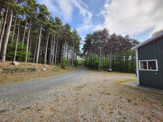 5005 S Brye Rd, Ludington, MI 49431 - view of dirt / gravel driveway
