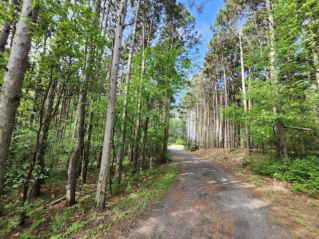 5005 S Brye Rd, Ludington, MI 49431 - view of road featuring a view of trees