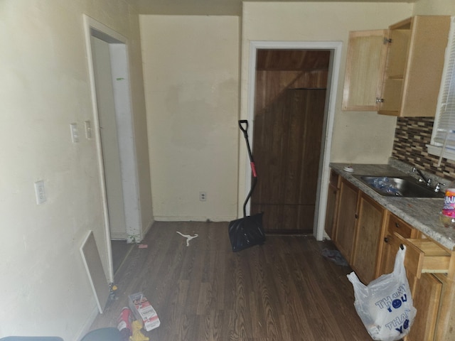 15770 Stansbury St, Detroit, MI 48227 - kitchen featuring a sink, dark wood-type flooring, and decorative backsplash